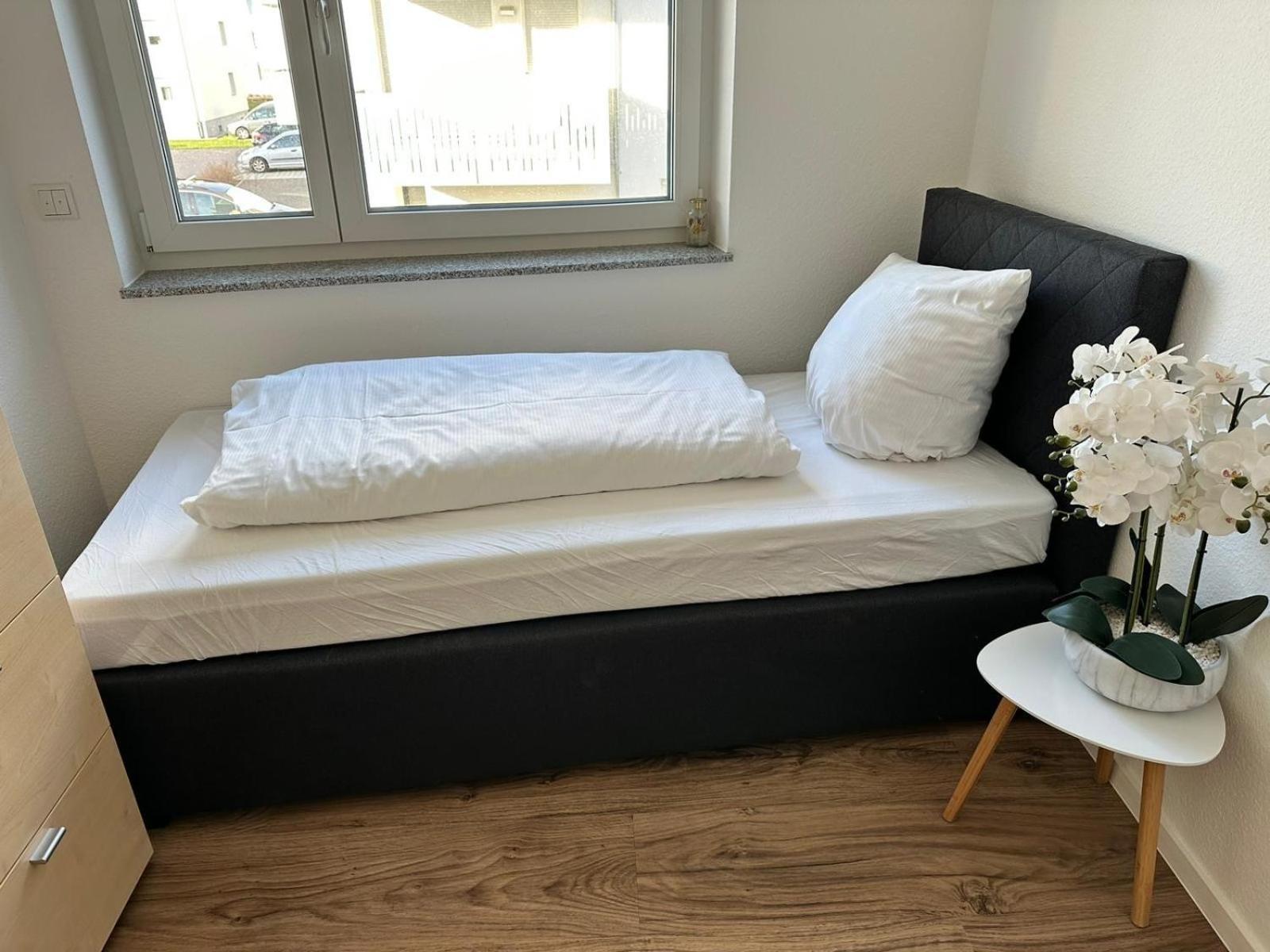 Grosse Cozy 4-Zi-Whg Mit Balkon Naehe Europa Park Und Rulantica Apartment Lahr  Ngoại thất bức ảnh